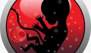 Ученые выяснили, зачем дети пинаются в утробе матери