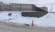 Более 200 открытых колодцев нашли на левом берегу в Астане