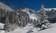 Землю на Бутаковке в Алматы вернули государству