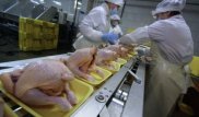 Россия назвала условие для транзита мяса птицы из США в Казахстан