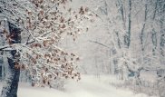Похолодание и снегопад ожидаются в Казахстане в праздничные дни