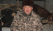 "Қазақ үшін мал тағам не көлік қана емес" немесе ауылда бизнес жүргізу жайлы