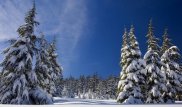 Теплую погоду прогнозируют в начале января в Казахстане