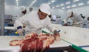 Западно-Казахстанская область экспортировала в Китай первую партию замороженной баранины