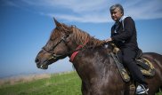 В Кыргызстане внезапно умер "самый дорогой конь Азии", оцененный в миллион долларов