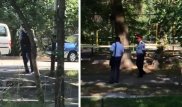 Я не поверила, что это просто автоворовство - мать Дениса Тена