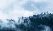 Метель, гололед и туман ожидаются в Казахстане
