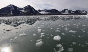 В безлюдных районах Арктики обнаружены супербактерии