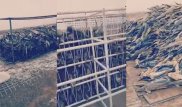 Видео с мертвыми осетрами в пригороде Атырау прокомментировали на предприятии