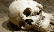 Ученые назвали самые главные угрозы для человечества