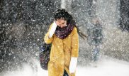 Потепление с метелями прогнозируют в Казахстане