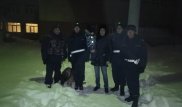 Служебная овчарка по запаху нашла пропавшего 5-летнего мальчика в Уральске
