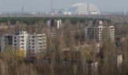 Ученых удивили обитатели закрытой Чернобыльской зоны
