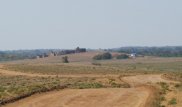 Клад Золотой Орды обнаружили благодаря суслику