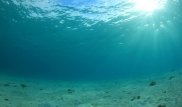 На дне океана обнаружили угрозу для человечества