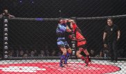 В Алматы стартовал финал первого объединенного чемпионата Казахстана по ММА
