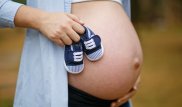 Увеличить квоты на ЭКО попросили депутаты