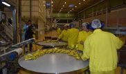 Три крупных предприятия планируют открыть в Алматинской области