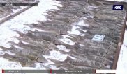 Более 100 тонн осетра сожгут в Атырау