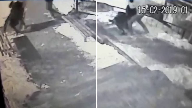 Полное видео нападения. Видео нападения на женщину в Братске.