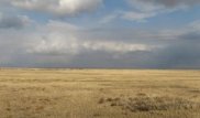 Аким Акмолинской области поручил увеличить площадь орошаемых земель