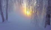 Снег и метель прогнозируют в Казахстане