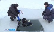 В реке Тобол дайверы ищут останки доисторических животных