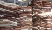 Казахстан запретил вывоз необработанных шкур КРС