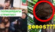 Қазнетте ең көп таралған фейк жаңалықтар