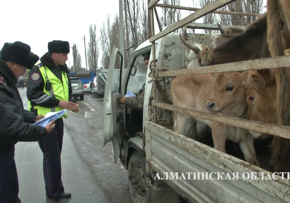 Кадр из видео