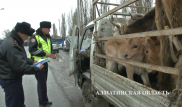 Полицейские взялись за торговцев мясом в Алматинской области