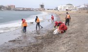 В Атырау очищают Урал от мертвой рыбы