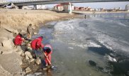 Жители Атырау вышли на очистку Урала от мертвой рыбы