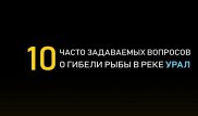 10 часто задаваемых вопросов о гибели рыбы в реке Урал