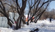 Карагандинцев встревожили ленты на деревьях в центральном парке