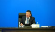 Нужно руководствоваться здравым смыслом - Кулибаев об изъятии земель у бизнеса