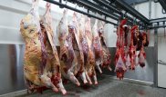 Первая партия экспортного мяса поступила в Иран из Акмолинской области