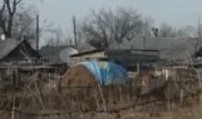 Житель ВКО накрыл сено баннером с флагом Казахстана и может получить штраф