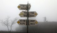 Сирия отреагировала на решение США признать Голаны израильскими