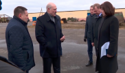 "Всех под нож". Президент Беларуси устроил публичный разнос чиновникам