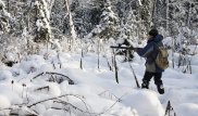 "Процветает мафия". Конфисковывать имущество браконьеров призвал депутат