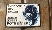 Ротвейлеры насмерть загрызли двухлетнюю девочку в Алматы
