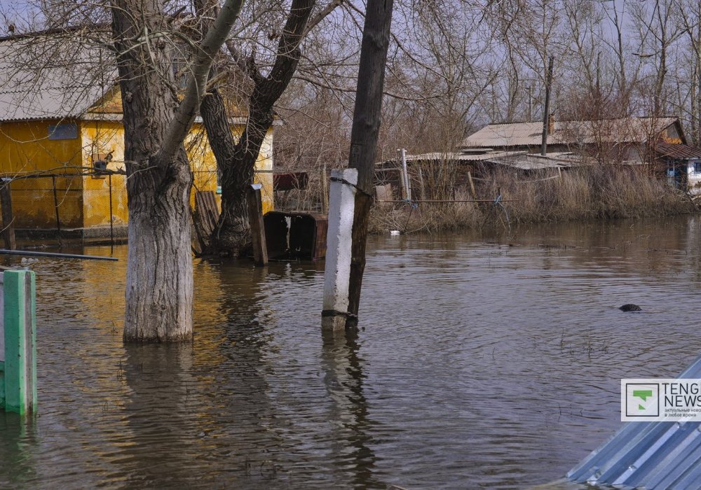 Фото ©Турар Казангапов