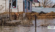 Жители села остались без электричества из-за паводка в СКО