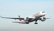 Самолет Ethiopian Airlines мог столкнуться с посторонним предметом