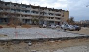 На стене дома в Актау сфотографировали неизвестное насекомое