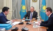 Назарбаев принял главу Тюркской академии