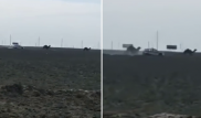 Погоню за верблюдами в Актау объяснили в полиции