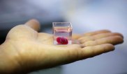 Живое сердце впервые напечатали на 3D-принтере в Израиле