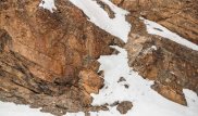 "Искусство камуфляжа". Фотограф показал, как умеют маскироваться снежные барсы
